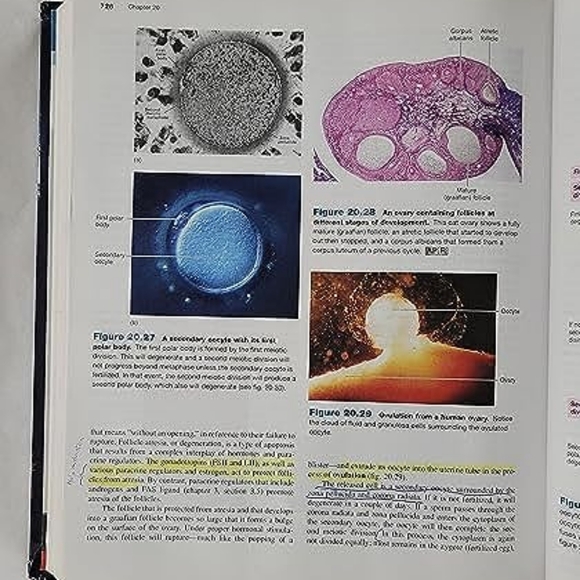 Human Physiology  14th Edition - Picture 4 of 4